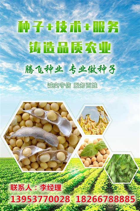 大豆种子_产品展示_北安市北方农产品经贸有限责任公司