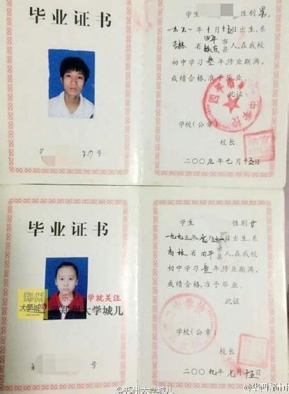 70岁上海阿婆拿到中国美院书画双学位，曾在教室搭帐篷过夜