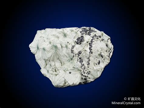 阳起石岩_Actinolitite_国家岩矿化石标本资源共享平台