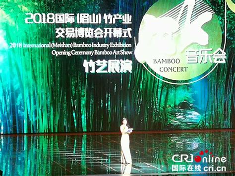 帝得弗兰自动化工程技术（上海）有限公司-成功案例-苏州竹子网络科技有限公司