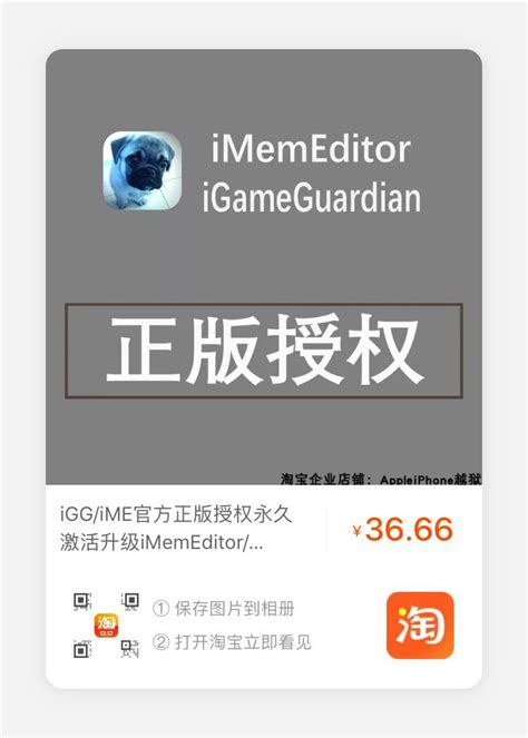 iGG/iME游戏修改器iOS正版授权