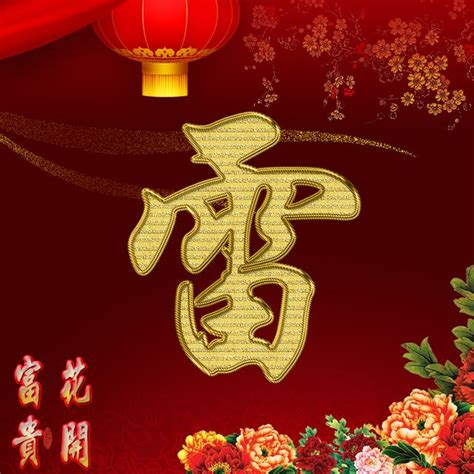雷姓头像非主流