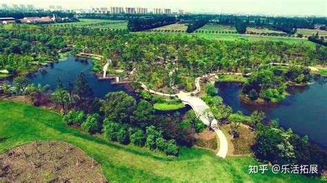 上海崇明长兴岛郊野公园游客中心-项目PROJECTS-米川建筑