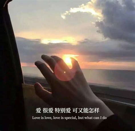 归零图片