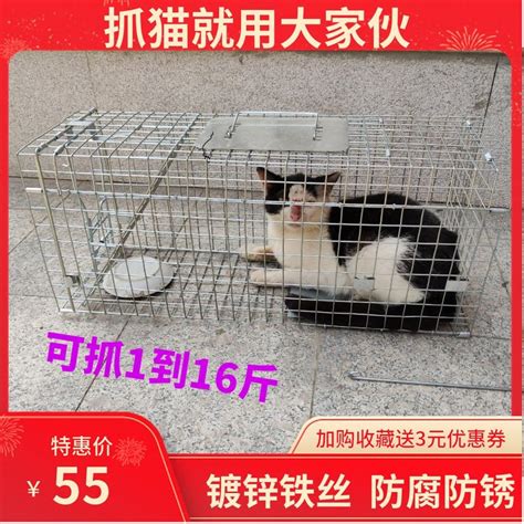 猫贩子伪装成外卖员偷走280只家猫，还要把它们端上餐桌、卖到虐猫者手里......_宠物