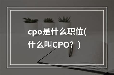 CPO火了，科普下什么是CPO_财富号_东方财富网