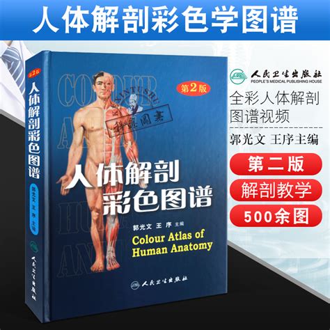 人体解剖彩色图谱图片 人体解剖彩色图谱图片