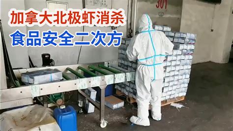 加拿大北极虾在中国消杀，食品安全二次方_凤凰网视频_凤凰网