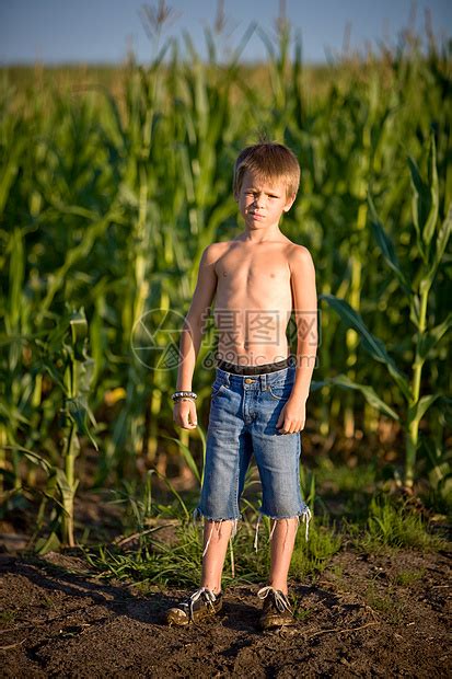 在玉米田里的男孩高清图片下载-正版图片501826749-摄图网