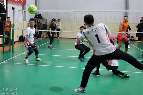 上大男排勇夺上海市第十六届运动会排球比赛冠军-上海大学新闻网