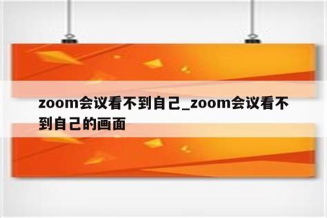 zoom会议看不到自己_zoom会议看不到自己的画面 - zoom相关 - APPid共享网