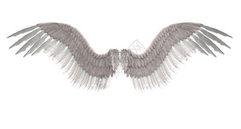 天使守护翅膀伸展高清图片下载-正版图片303850869-摄图网