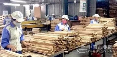 老挝合法木材出口欧盟有望实现【批木网】 - 木业行业 - 批木网