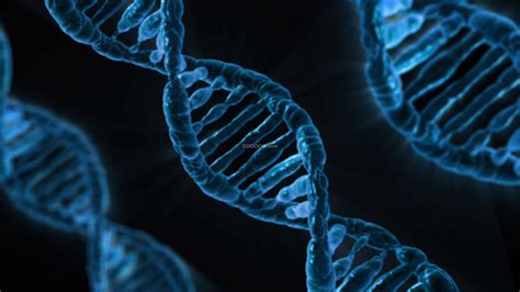 DNA是“主要的”遗传物质_高中生物知识点总结_师梦圆