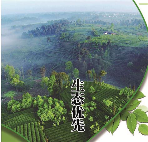 雅安3县城被命名为第三批四川省生态园林城市（县城）_四川在线