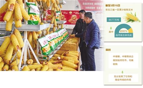 2022年玉米价格最新行情-2022年玉米价格预测多少钱一斤 - 见闻坊