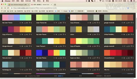 10个超好用的配色网站！_颜色