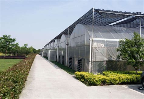 智能玻璃温室_甘肃森农园农业温室建设有限公司