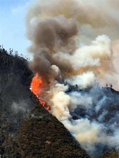 向震中挺进 向生命驰援聚焦泸定县6.8级地震应急救援_四川在线