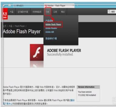 Adobe Flash Player电脑版下载_Adobe Flash Player电脑版下载安装-53系统之家