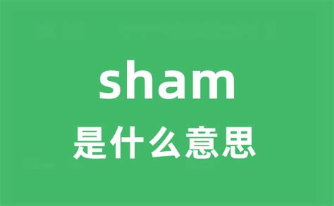 sham是什么意思_sham怎么读_中文翻译是什么？_学习力