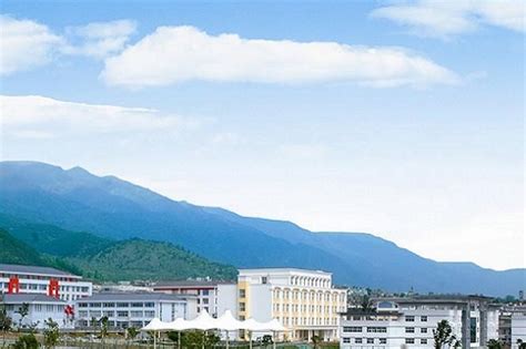 云南省保山第一中学2023年学费、收费多少