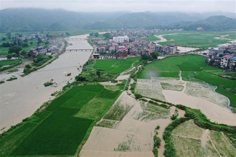 九江江洲告急：水位距98年最高位仅剩0.22米，江西洪灾为何如此严重_凤凰网