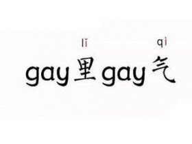 gaygay图片