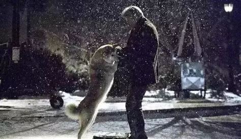这辈子一定要看的10部狗狗电影：《忠犬八公的故事》感人至深