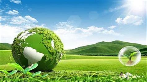 绿色环保成时代趋势,PVC塑胶地板企业如何应对?