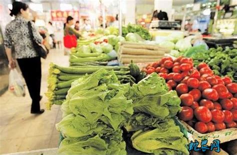 非常时期菜价上涨遭罚款！蔬菜价格最高涨近700%！黄瓜88元一斤！ - 农业新闻 - 蛇农网