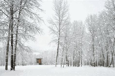 解锁最美冬季赏雪地 冰雪世界美若童话-天气图集-中国天气网