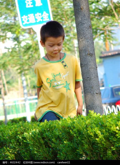 在灌木丛中的男孩高清图片下载_红动中国