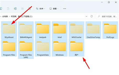 windows11怎么显示文件后缀名? win11显示后缀名的两种方法 - Win11 - 教程之家