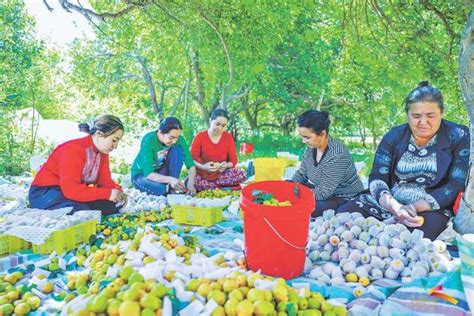 上海援疆助力喀什贫困农户农产品销售活动周启动