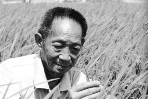 留下184条专利信息，袁隆平生前还在惦记海水稻和新杂交水稻-千龙网·中国首都网