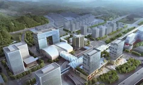 北京石景山将率先创建国家森林城市 有这4项重点任务 | 北晚新视觉