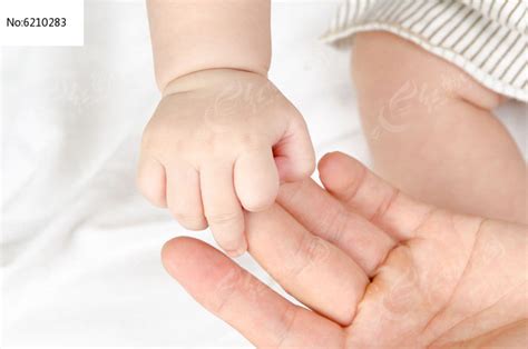 父亲和母手里握着一点婴儿和父母手里握着婴儿和hand孩子和handchilds高清图片下载-正版图片303536462-摄图网