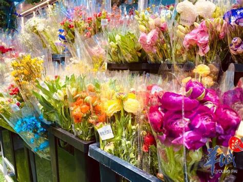 如何摆地摊卖鲜花，才能获得最大收益？ - 知乎