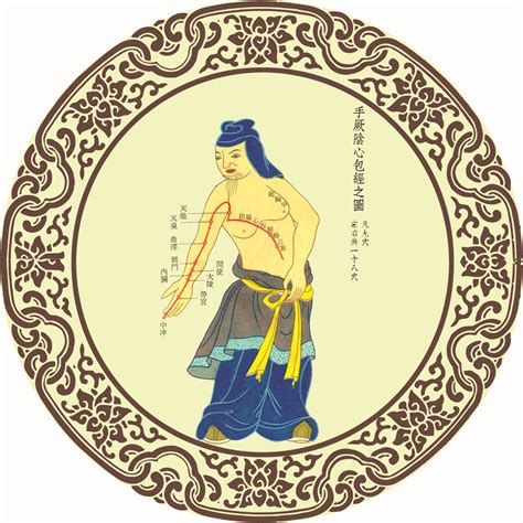 心包经经络图走向图片 心包经经络图走向图片