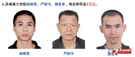 武平县公安局关于公开悬赏 通缉16名逃犯的通告 - 龙岩热点 龙岩KK网