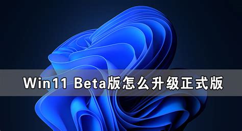 Win11 Beta版怎么升级正式版 Win11 Beta版转正式版的方法 - 系统之家