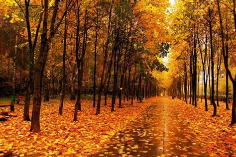 秋天去长白山怎么样 可以欣赏到不一样的风景-旅游经验本