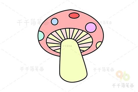 蘑菇和动物的简笔画带颜色搭配(蘑菇和动物的简笔画带颜色搭配图片) | 抖兔教育