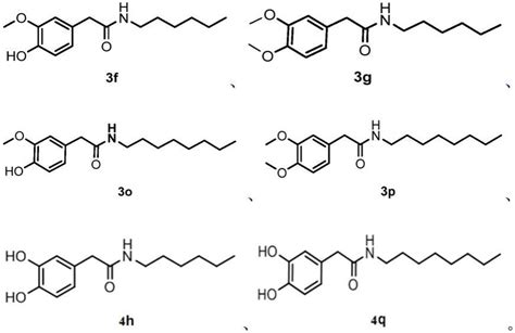 辣椒素类衍生物及其制备方法和应用与流程