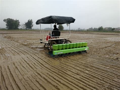 推广水稻机械精量穴直播新技术，助力农民春耕生产