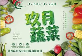 蔬菜名片怎么画,果蔬名片,制作蔬菜名片(第3页)_大山谷图库