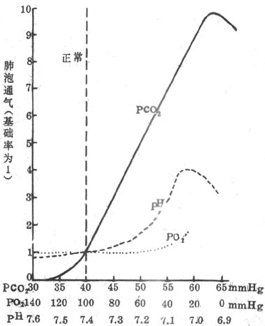 PCO2、H+和PO2在影响呼吸中的相互作用_《生理学》_中医综合书籍_【岐黄之术】