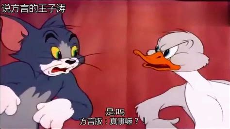 猫和老鼠山东方言版_腾讯视频