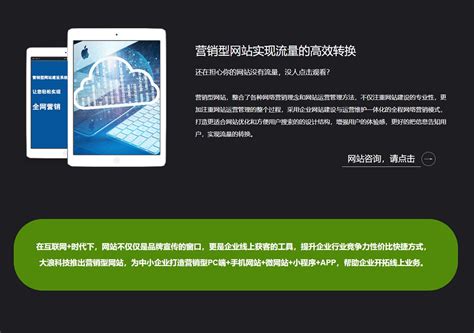 营销型网站_成都大浪科技有限公司